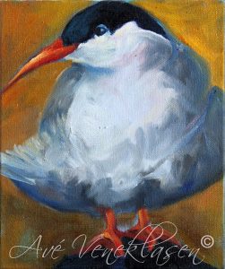 Ave_Veneklasen_Birds_ArcticTern_OilPainting