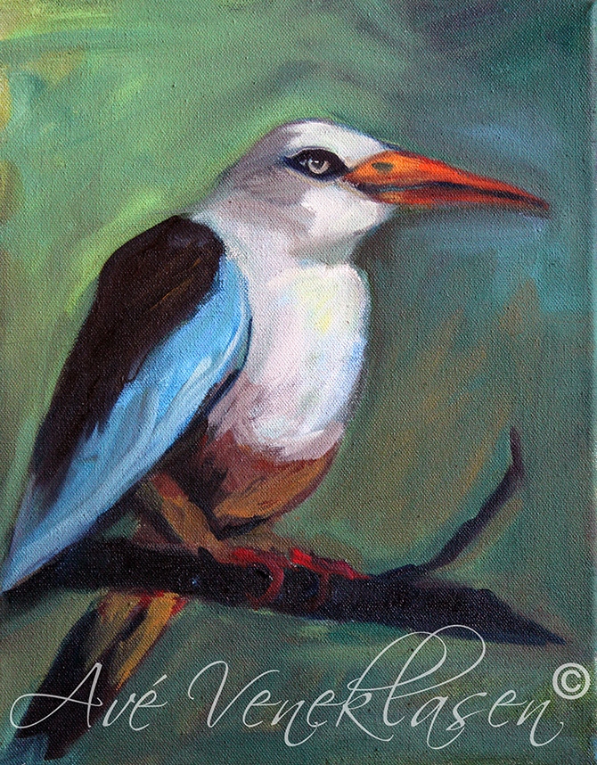 Grey Headed Kingfisher