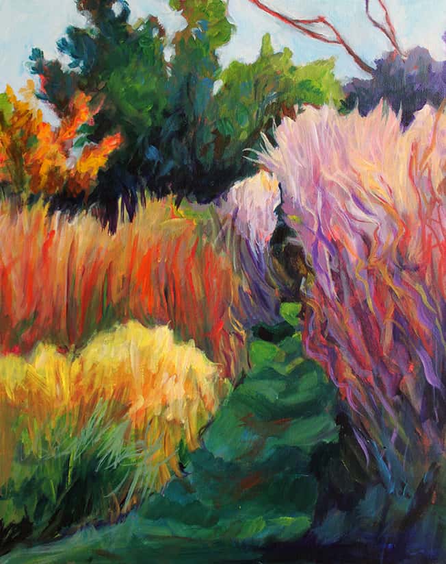Feather Grass