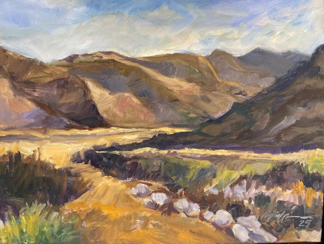 Desert Mountains