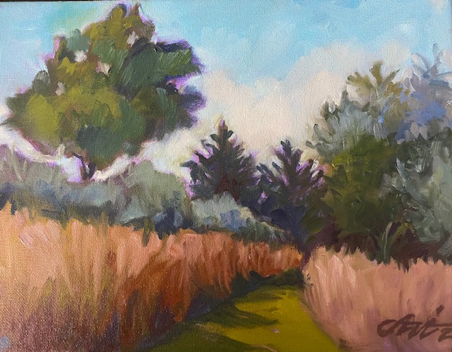 Path through Ochre Grass