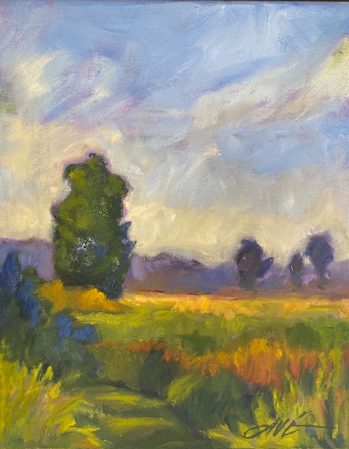 Summer Sky